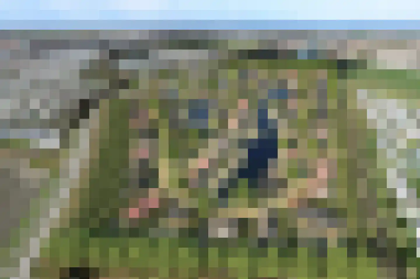 Lampsinsdijk 8 058 Nieuwvliet thumbnail 15