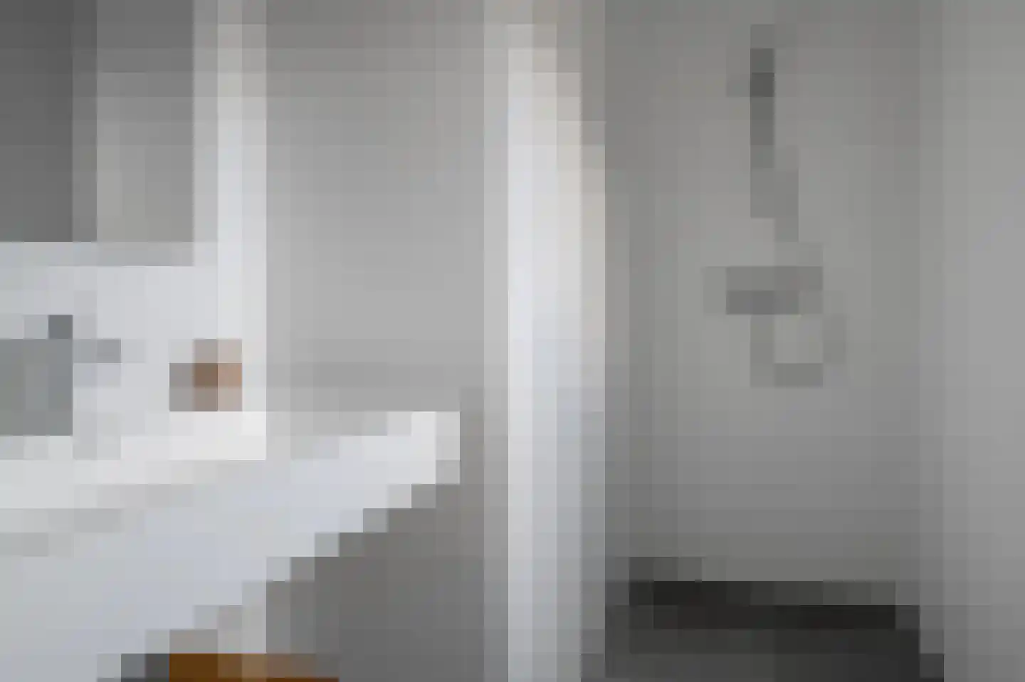 Lampsinsdijk 8 058 Nieuwvliet thumbnail 9