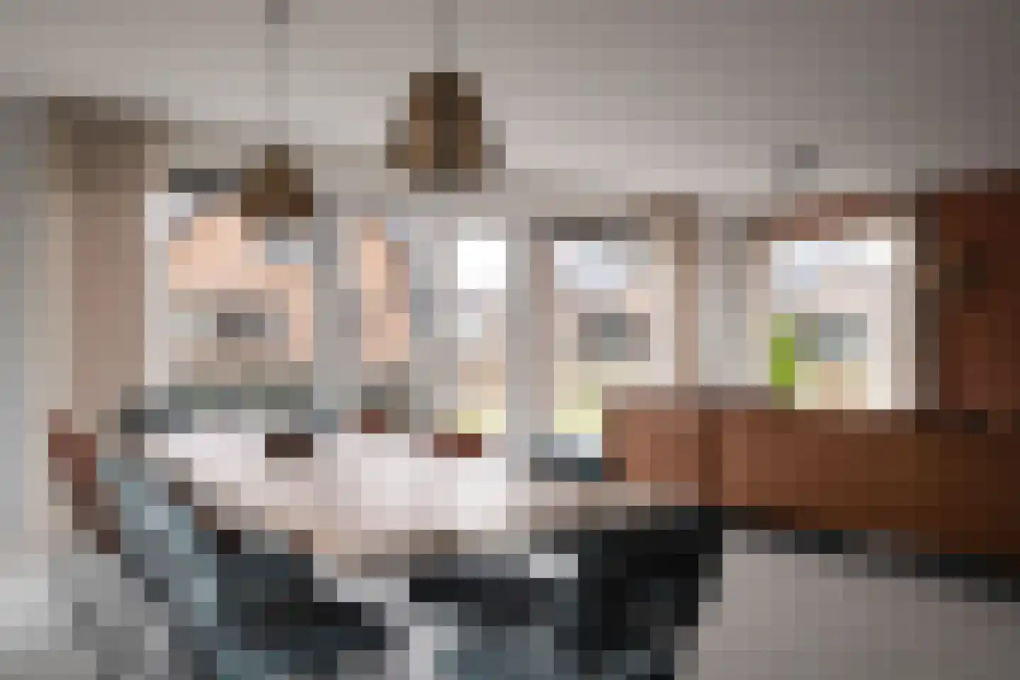 Lampsinsdijk 8 064 Nieuwvliet thumbnail 4