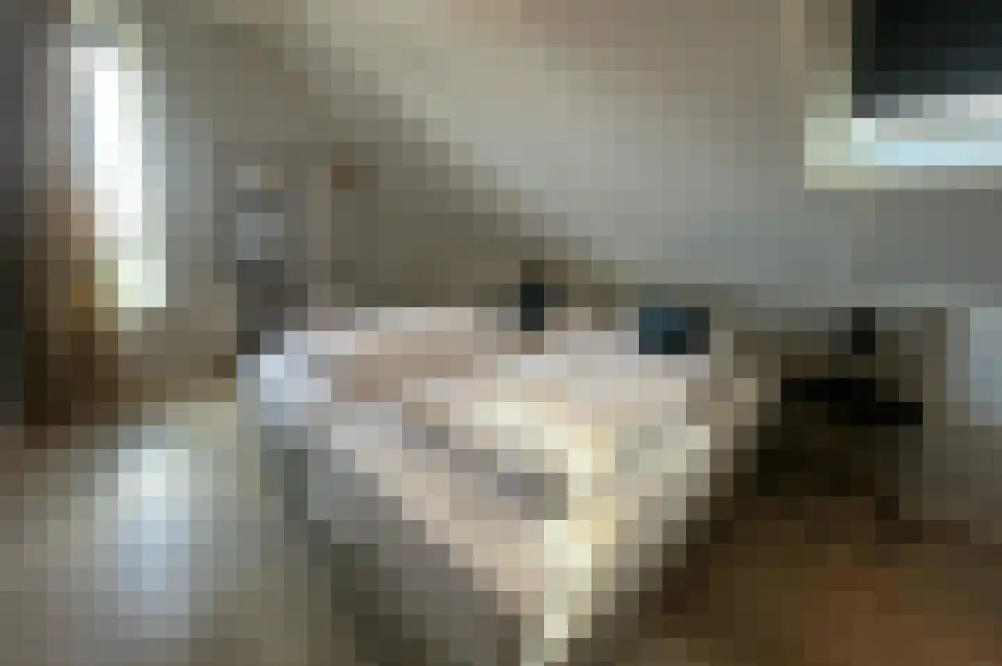 Lampsinsdijk 8 076 Nieuwvliet thumbnail 10