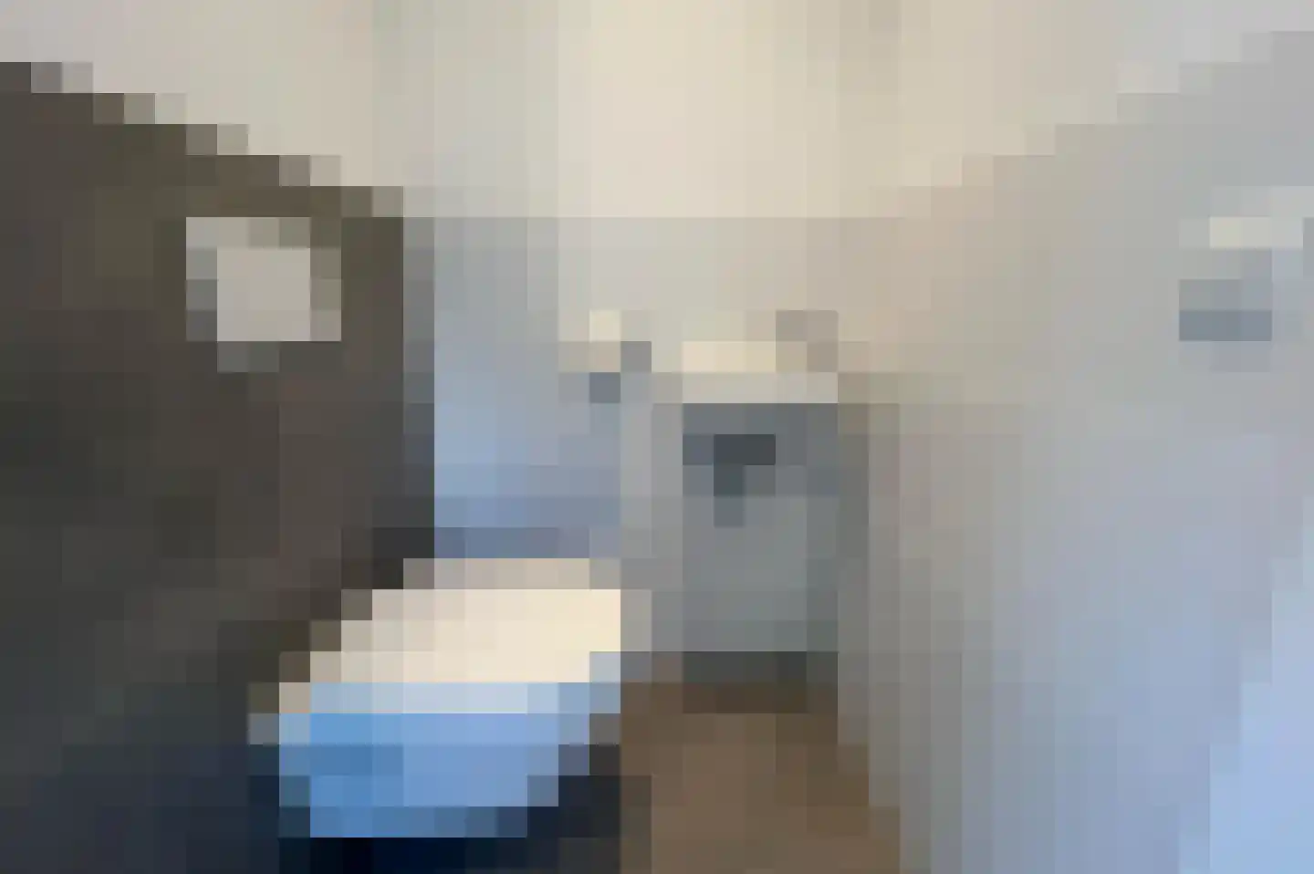 Lampsinsdijk 8 076 Nieuwvliet thumbnail 5
