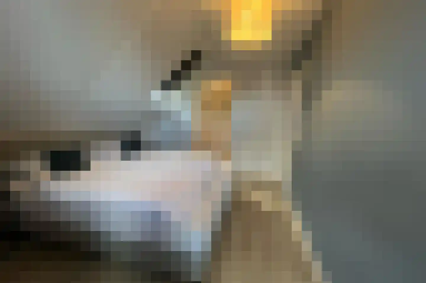 Lampsinsdijk 8 076 Nieuwvliet thumbnail 6