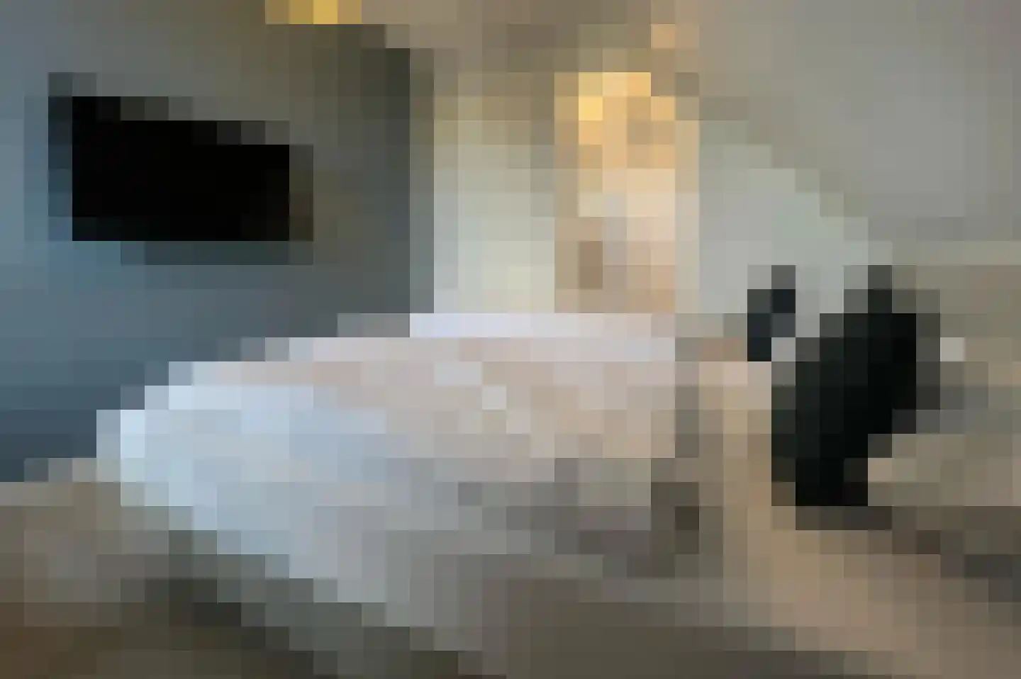 Lampsinsdijk 8 076 Nieuwvliet thumbnail 8