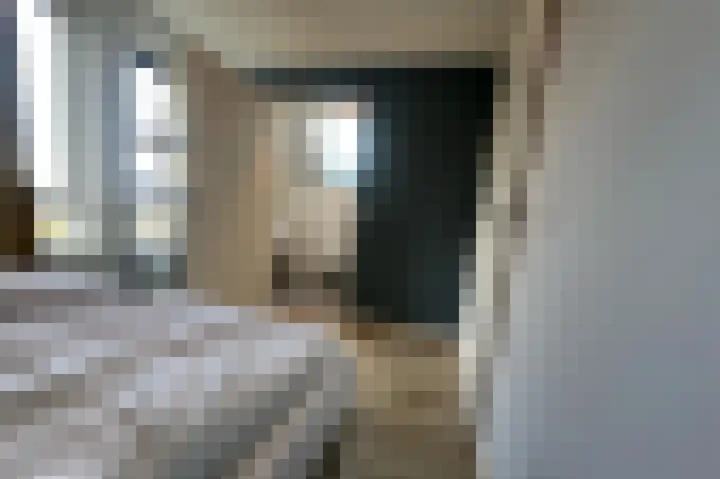 Lampsinsdijk 8 076 Nieuwvliet thumbnail 9