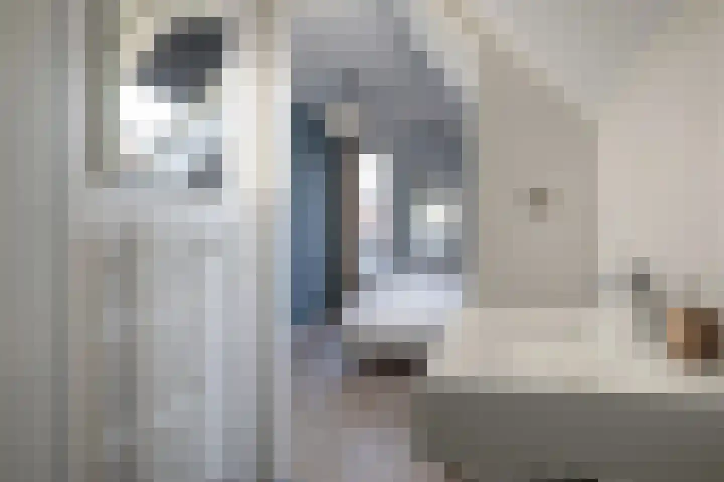 Lampsinsdijk 8 077 Nieuwvliet thumbnail 14