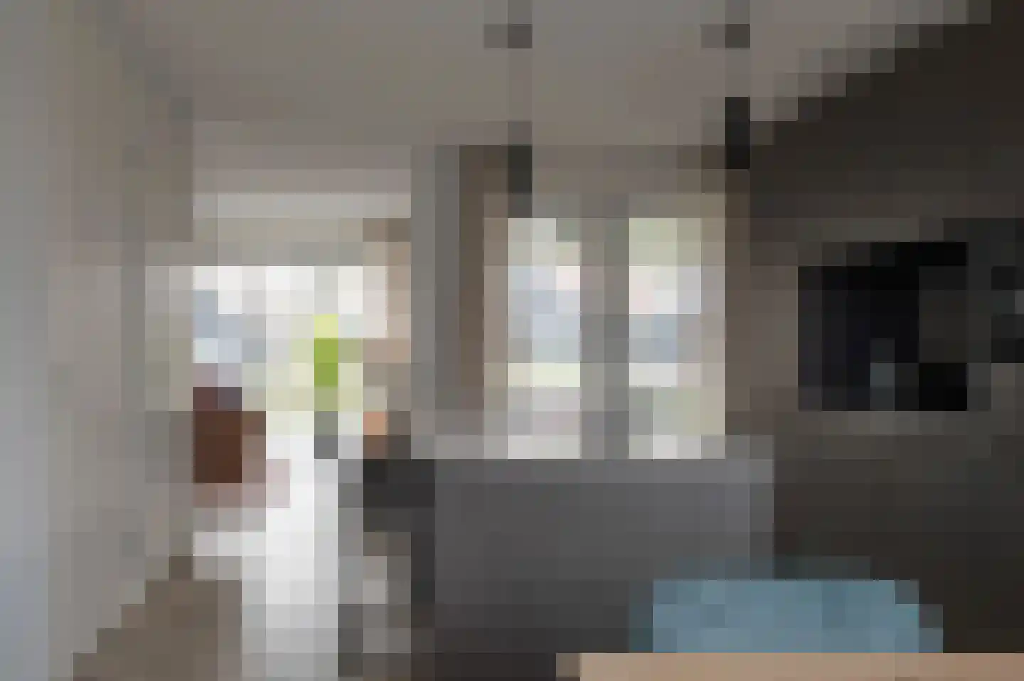 Lampsinsdijk 8 077 Nieuwvliet thumbnail 4
