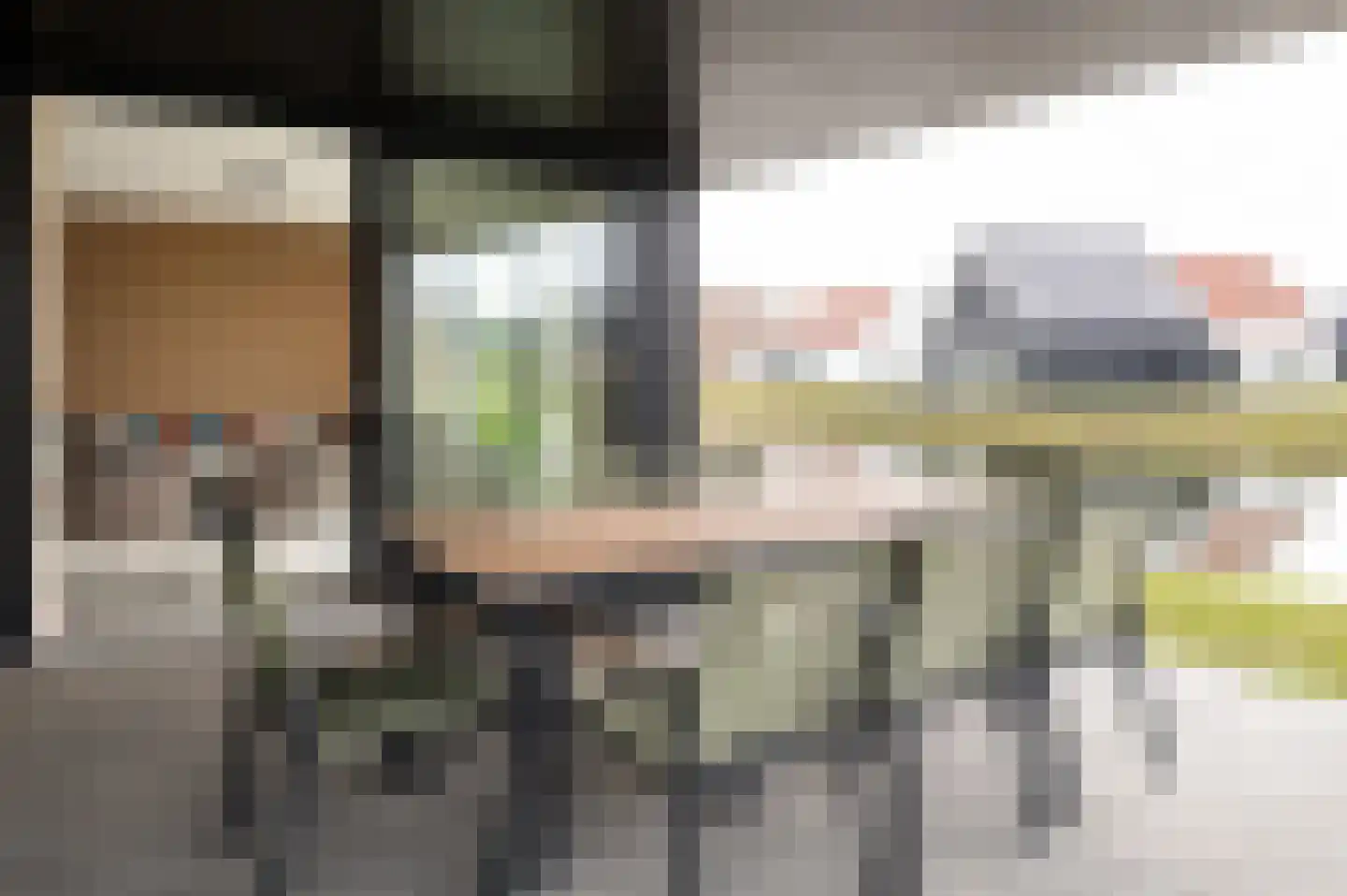 Lampsinsdijk 8 091 Nieuwvliet thumbnail 10