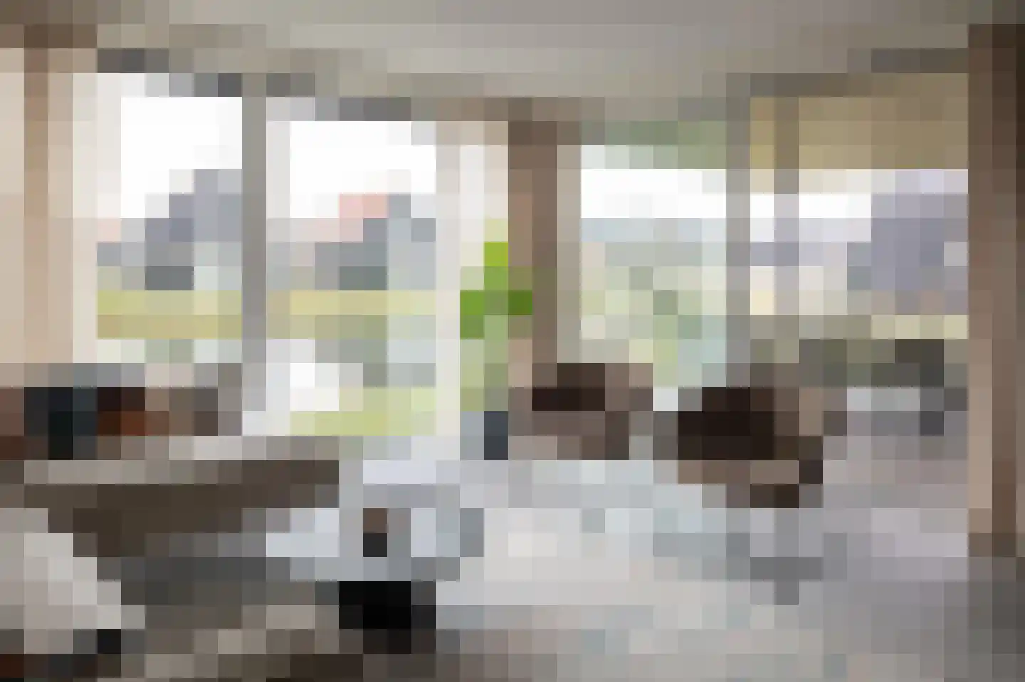 Lampsinsdijk 8 091 Nieuwvliet thumbnail 4