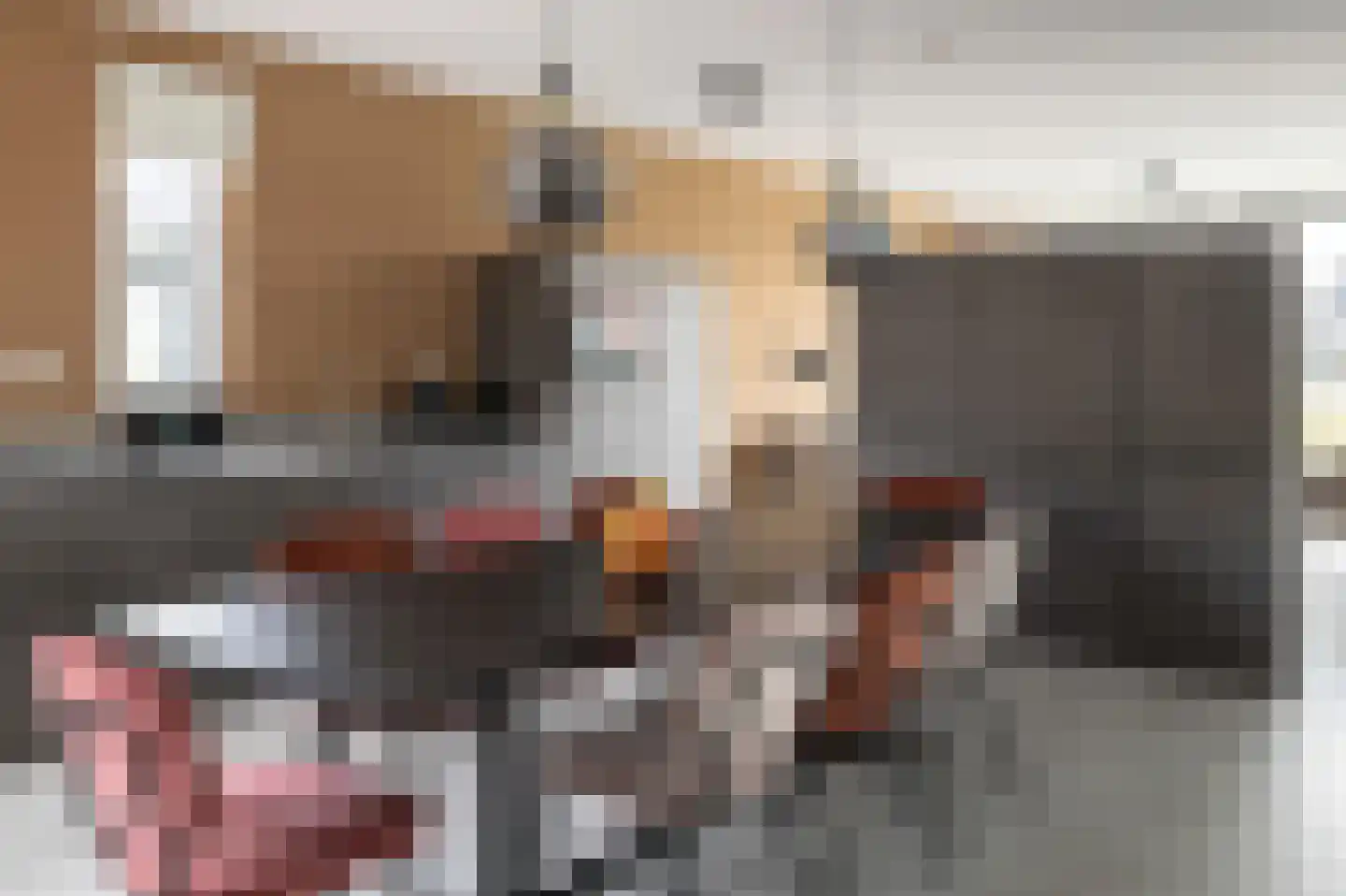 Lampsinsdijk 8 091 Nieuwvliet thumbnail 6