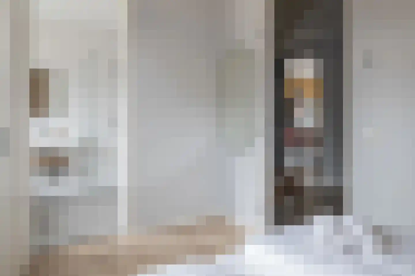 Lampsinsdijk 8 091 Nieuwvliet thumbnail 7