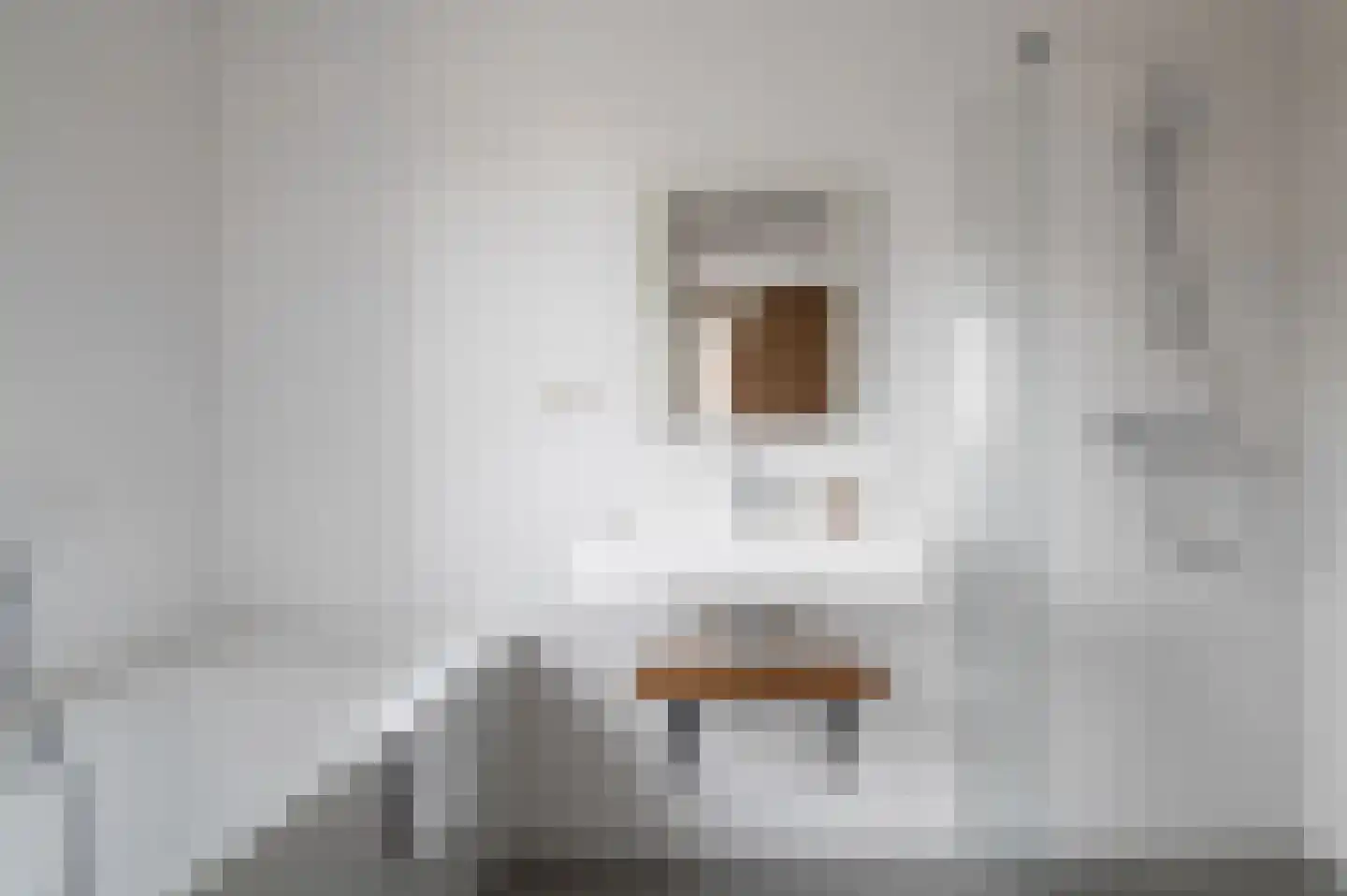 Lampsinsdijk 8 091 Nieuwvliet thumbnail 9
