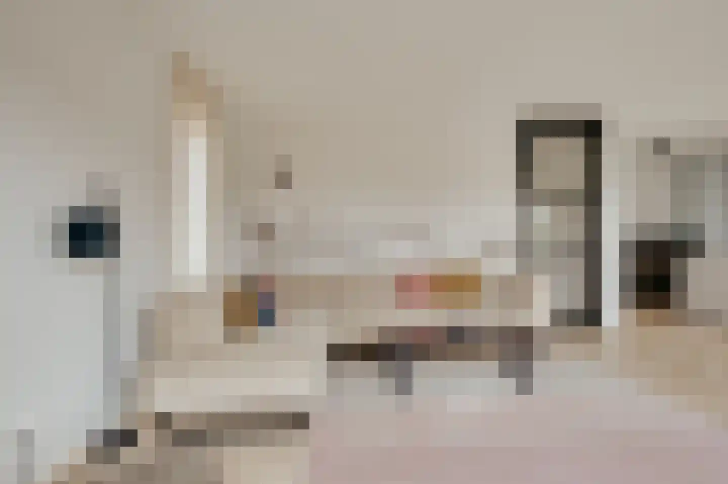 Lampsinsdijk 8 105 Nieuwvliet thumbnail 15