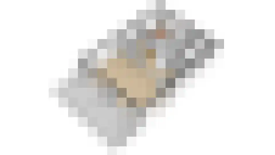Lampsinsdijk 8 105 Nieuwvliet thumbnail 38