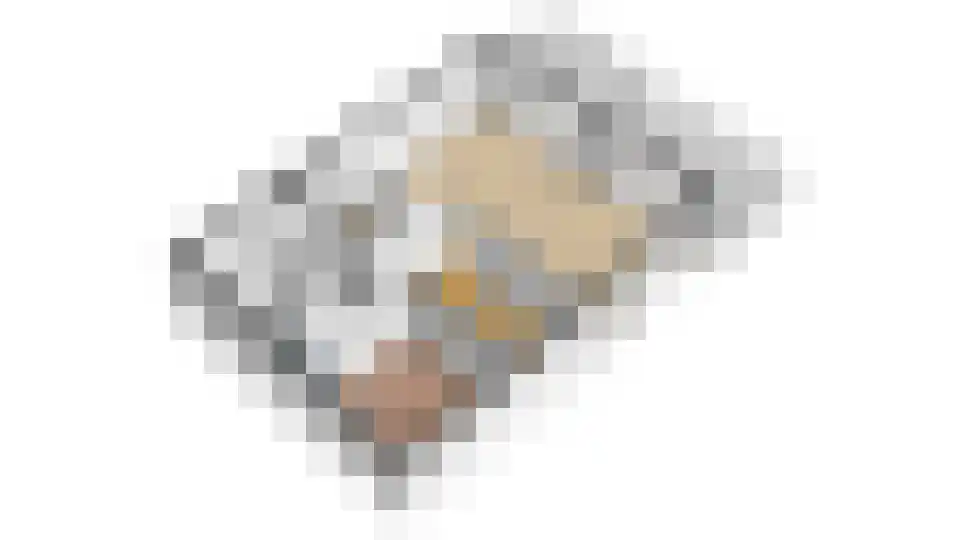 Lampsinsdijk 8 105 Nieuwvliet thumbnail 39