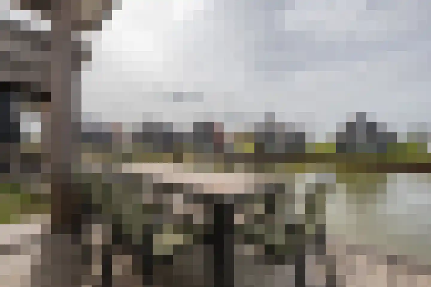 Lampsinsdijk 8 105 Nieuwvliet thumbnail 5