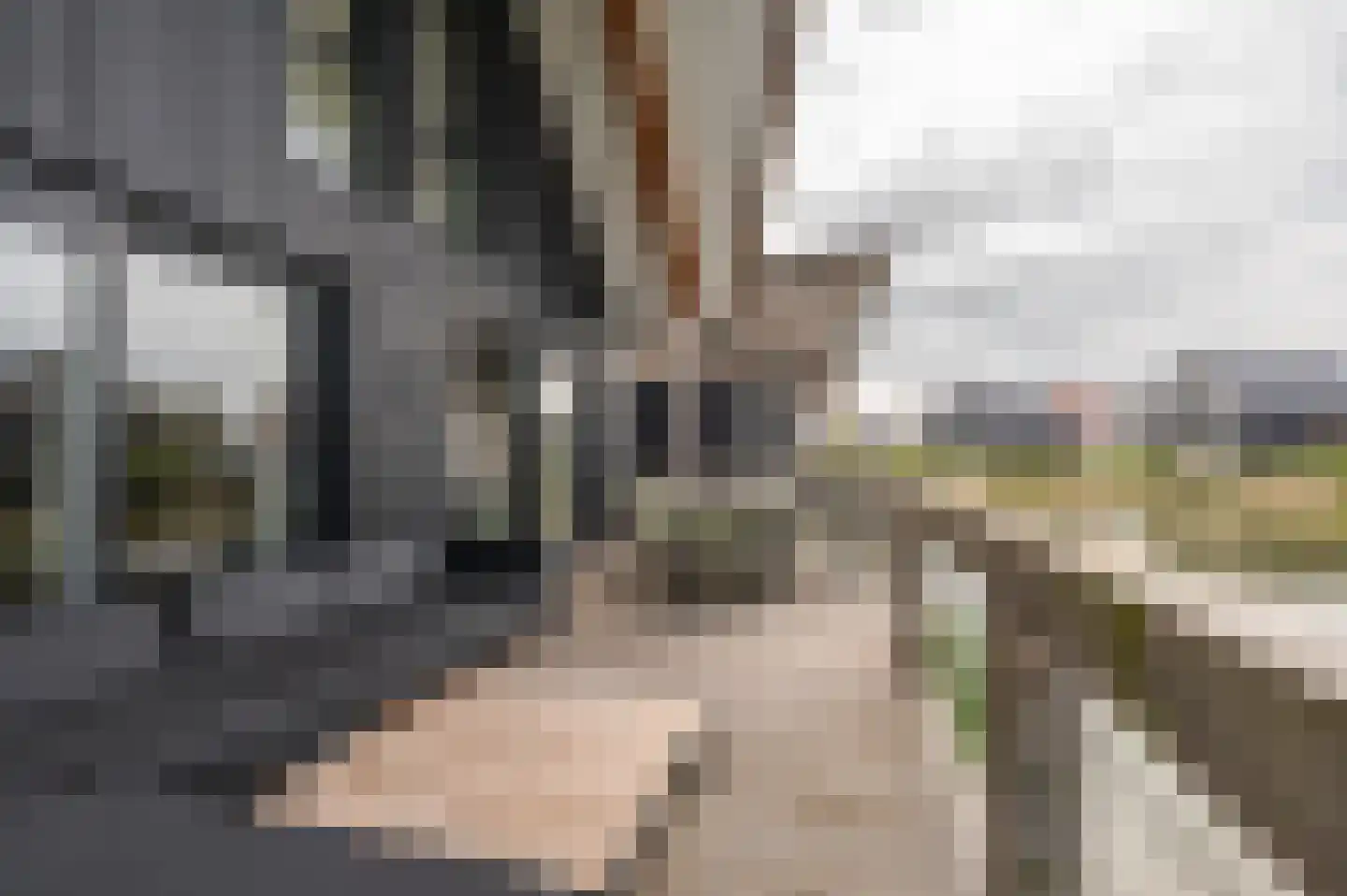 Lampsinsdijk 8 105 Nieuwvliet thumbnail 6