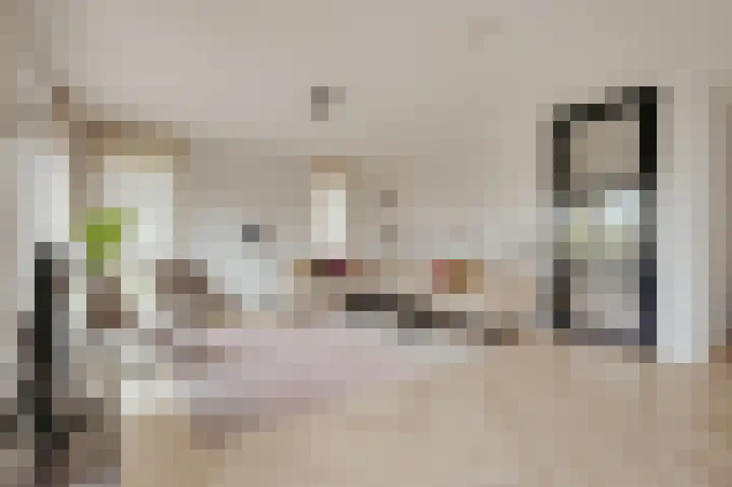 Lampsinsdijk 8 105 Nieuwvliet thumbnail 8