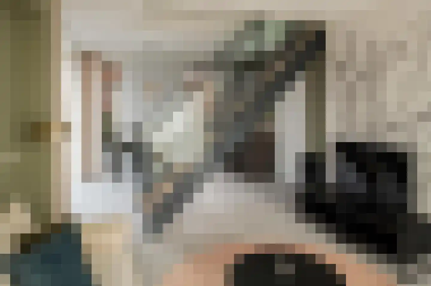 Lampsinsdijk 8 110 Nieuwvliet thumbnail 6