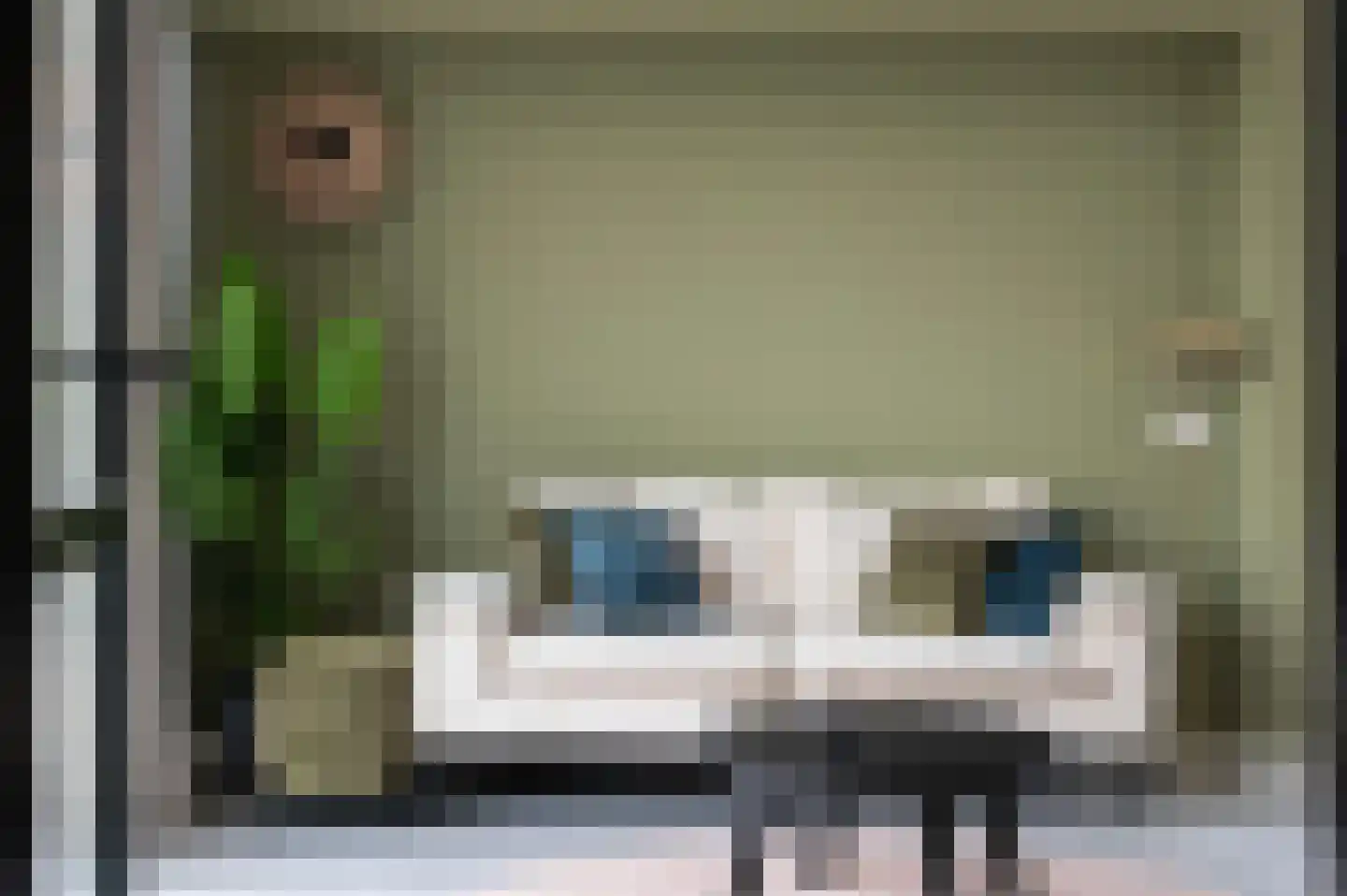 Lampsinsdijk 8 110 Nieuwvliet thumbnail 8