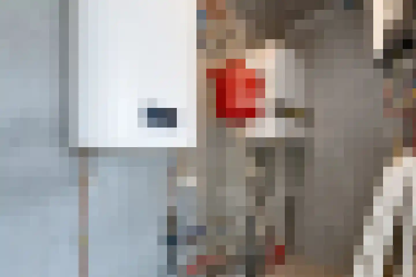 Lampsinsdijk 8 111 Nieuwvliet thumbnail 12