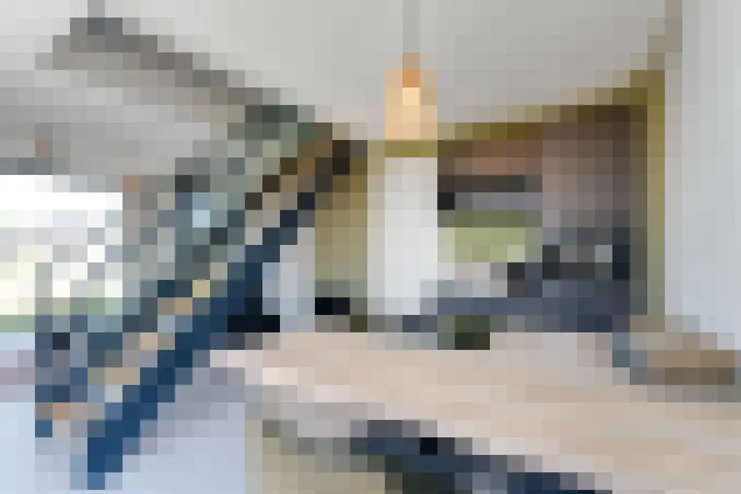 Lampsinsdijk 8 111 Nieuwvliet thumbnail 13