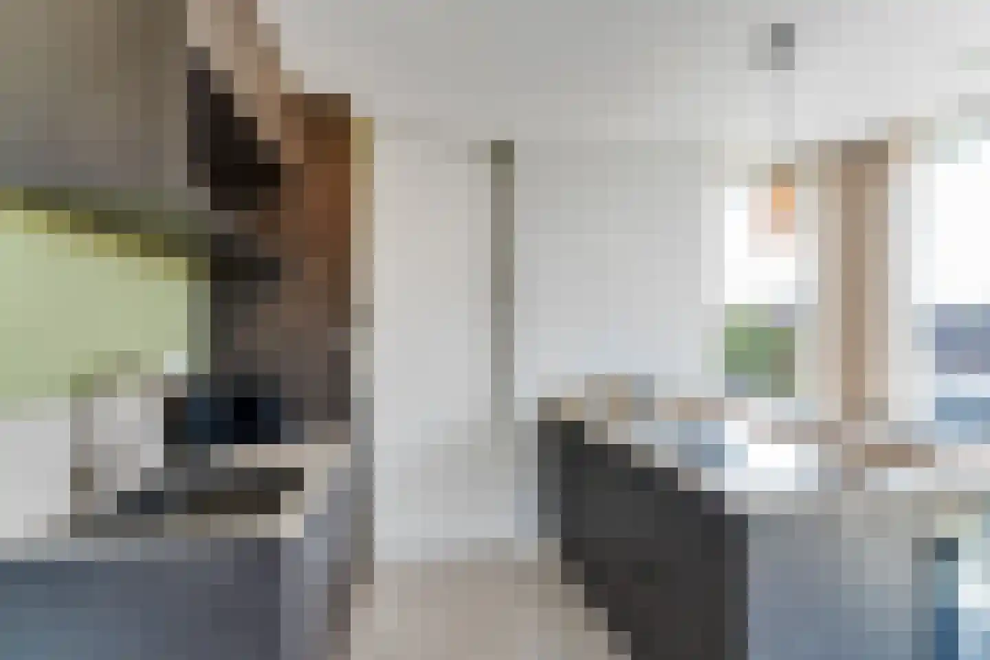 Lampsinsdijk 8 111 Nieuwvliet thumbnail 14
