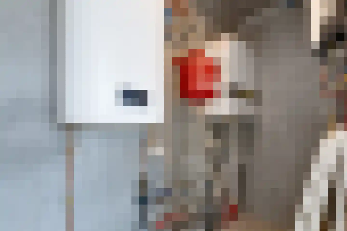 Lampsinsdijk 8 111 Nieuwvliet thumbnail 16