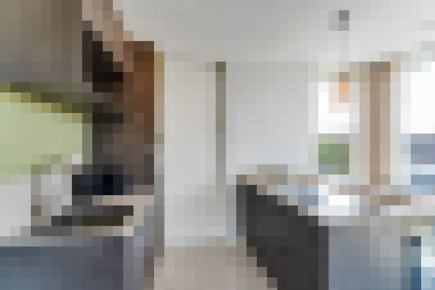 Lampsinsdijk 8 111 Nieuwvliet thumbnail 16