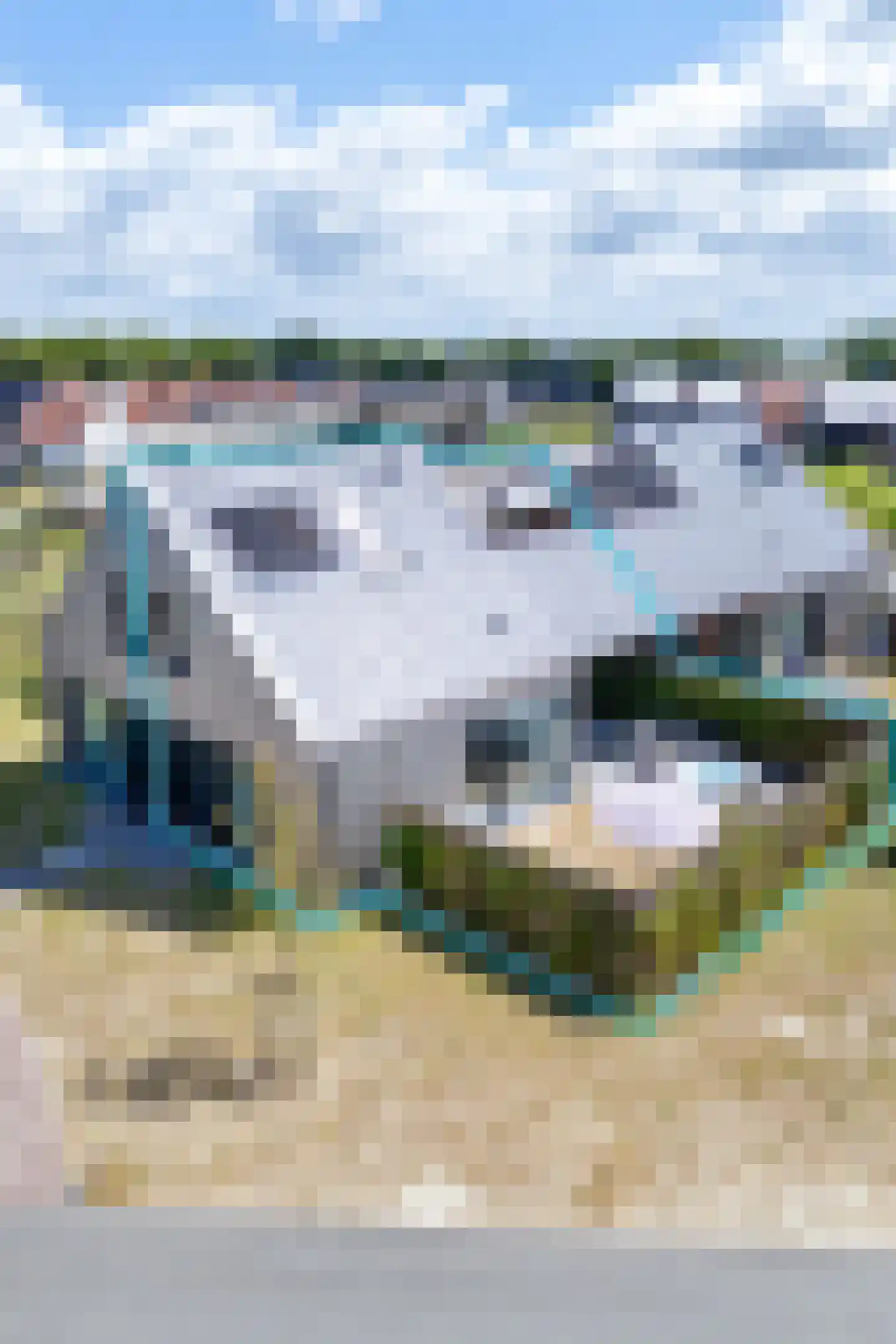Lampsinsdijk 8 111 Nieuwvliet thumbnail 28