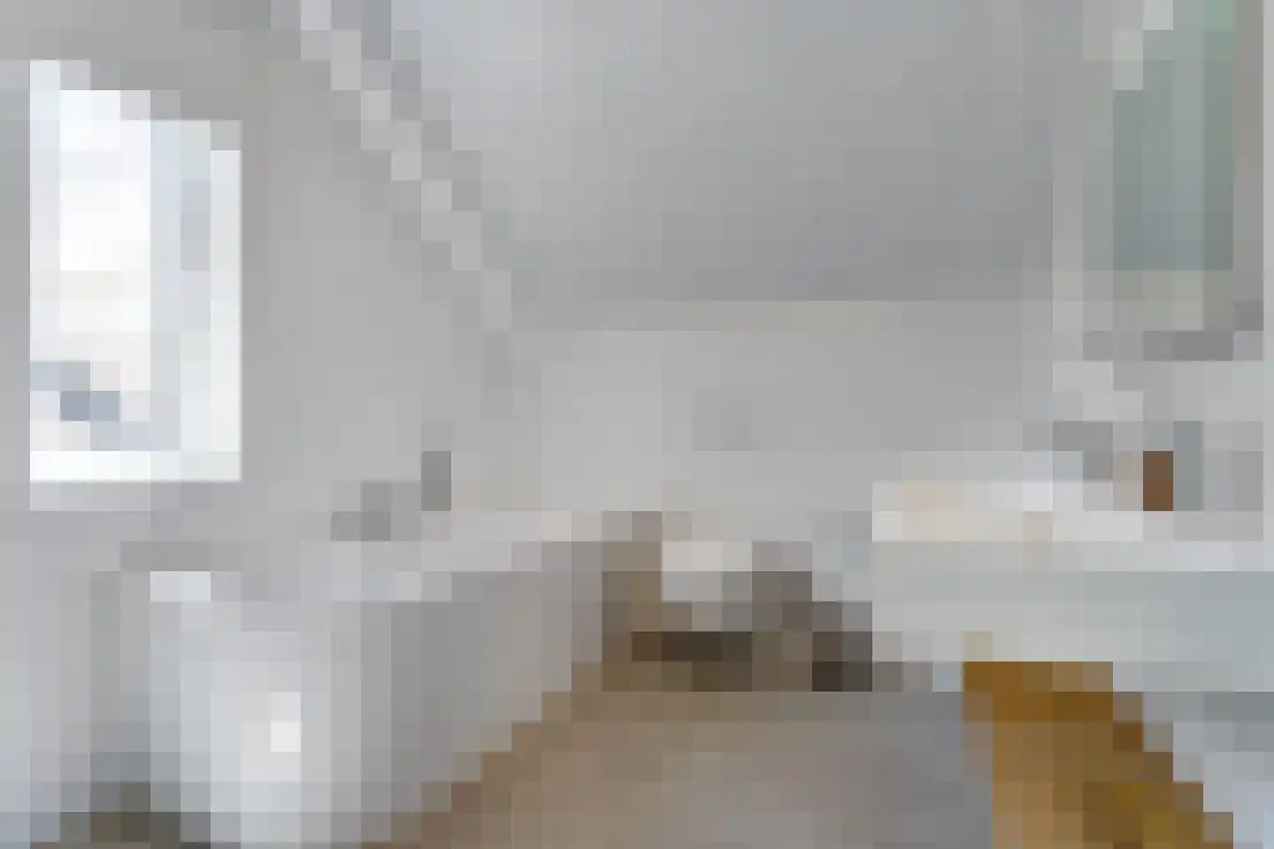 Lampsinsdijk 8 111 Nieuwvliet thumbnail 4
