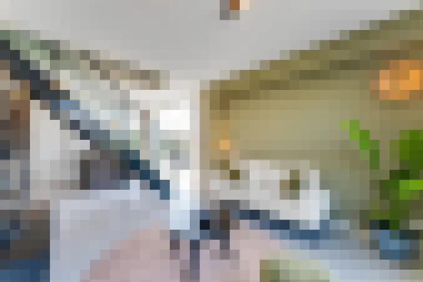 Lampsinsdijk 8 111 Nieuwvliet thumbnail 5