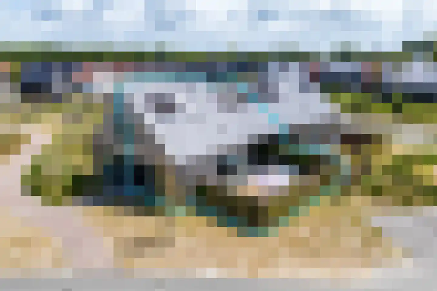 Lampsinsdijk 8 111 Nieuwvliet thumbnail 6