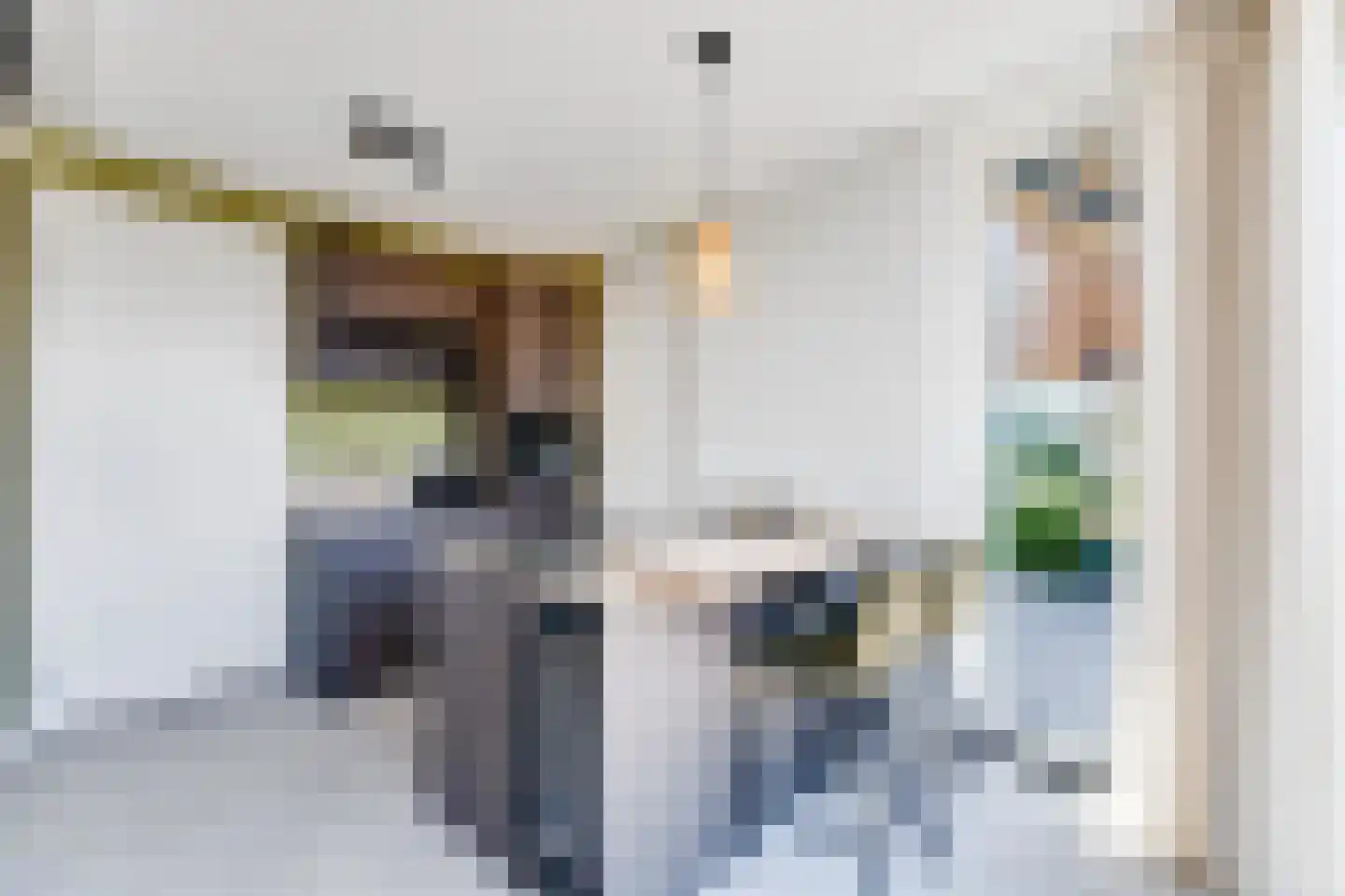 Lampsinsdijk 8 111 Nieuwvliet thumbnail 7