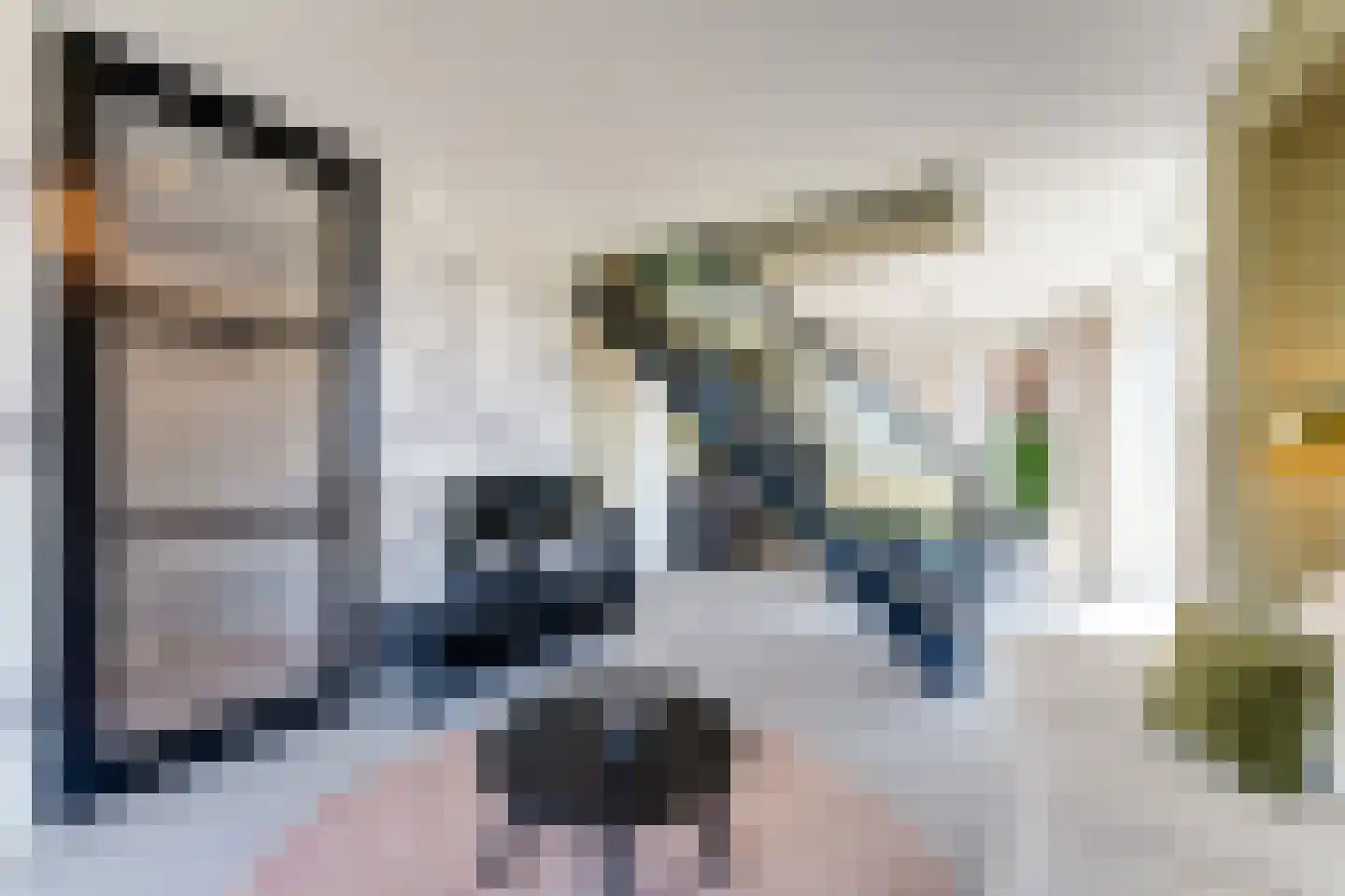 Lampsinsdijk 8 111 Nieuwvliet thumbnail 8