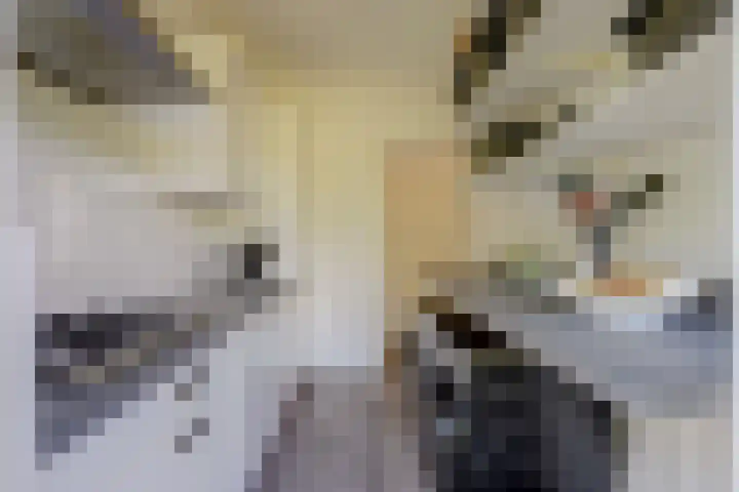 Lampsinsstraat 21 Rotterdam thumbnail 9