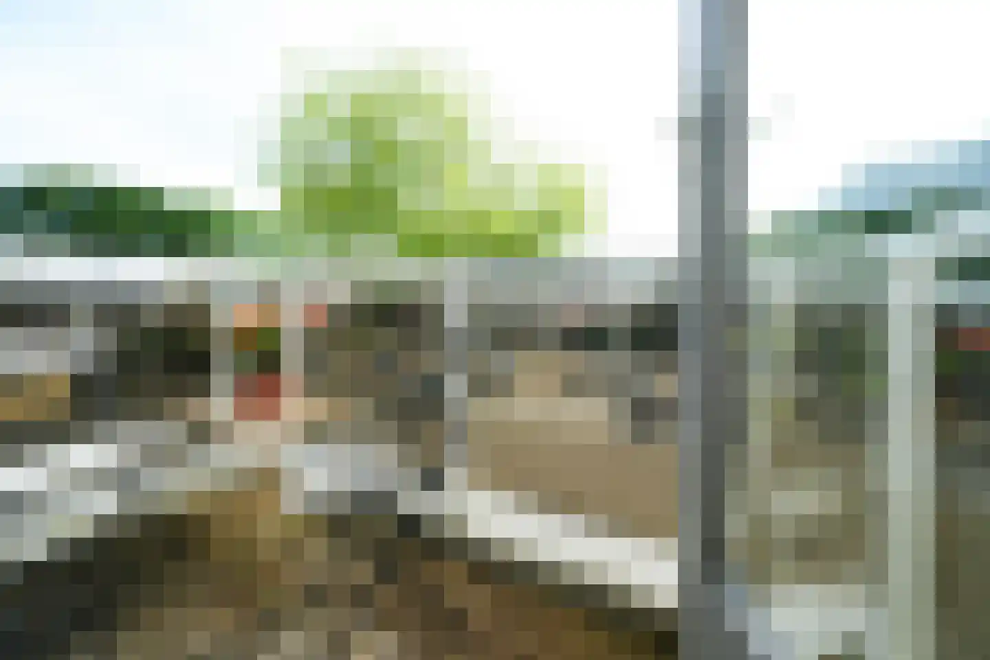 Lampsinsstraat 23 Rotterdam thumbnail 19