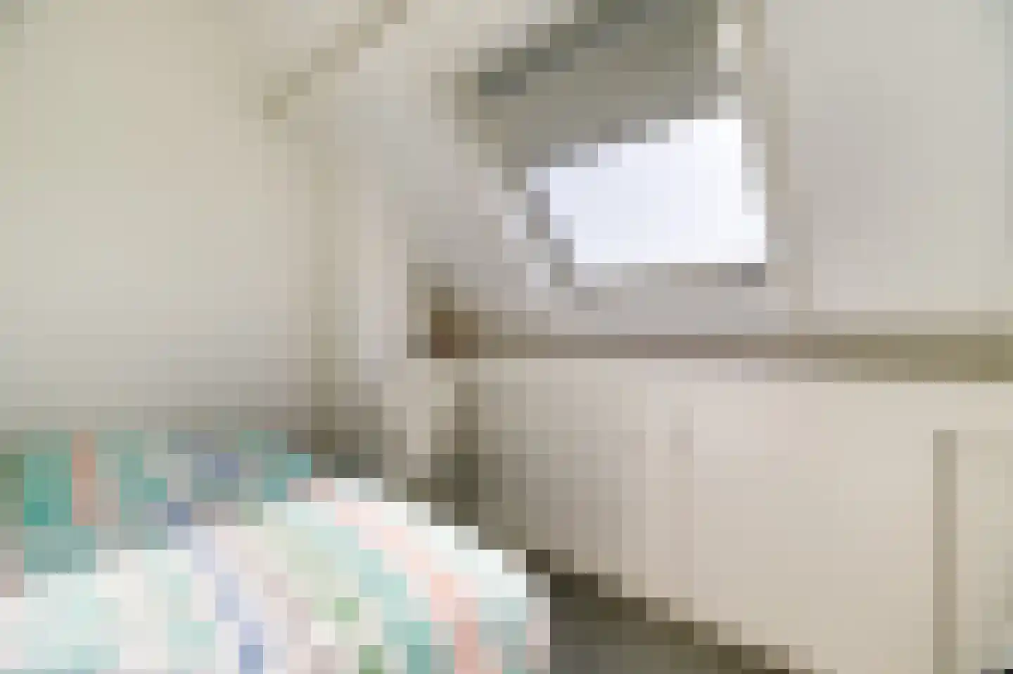 Lamsoor 12 A Nieuwvliet thumbnail 21