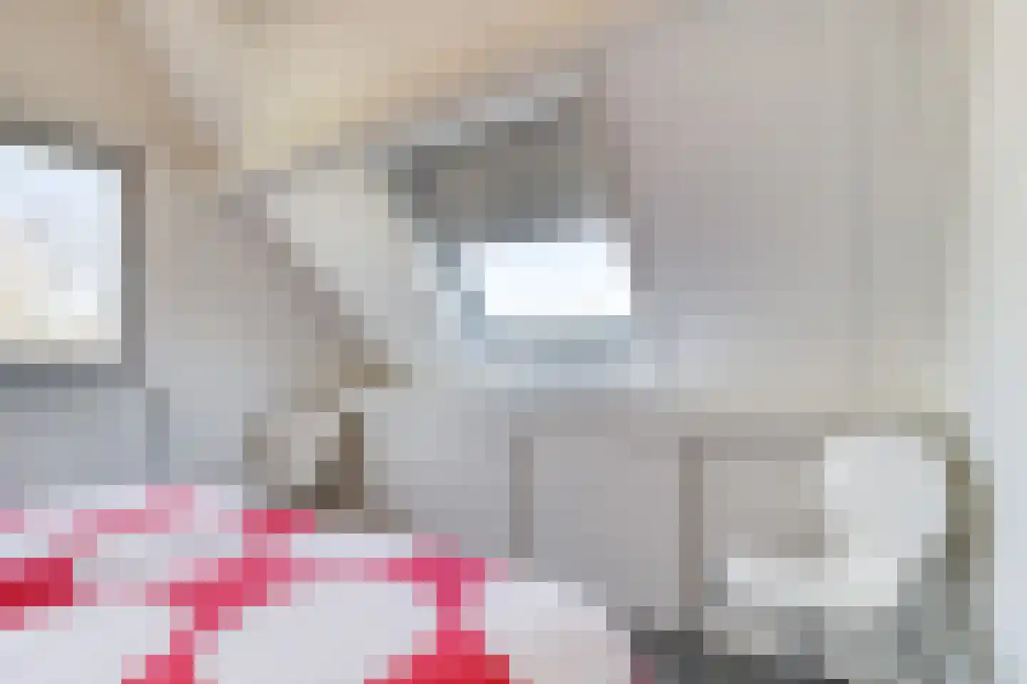 Lamsoor 12 A Nieuwvliet thumbnail 22