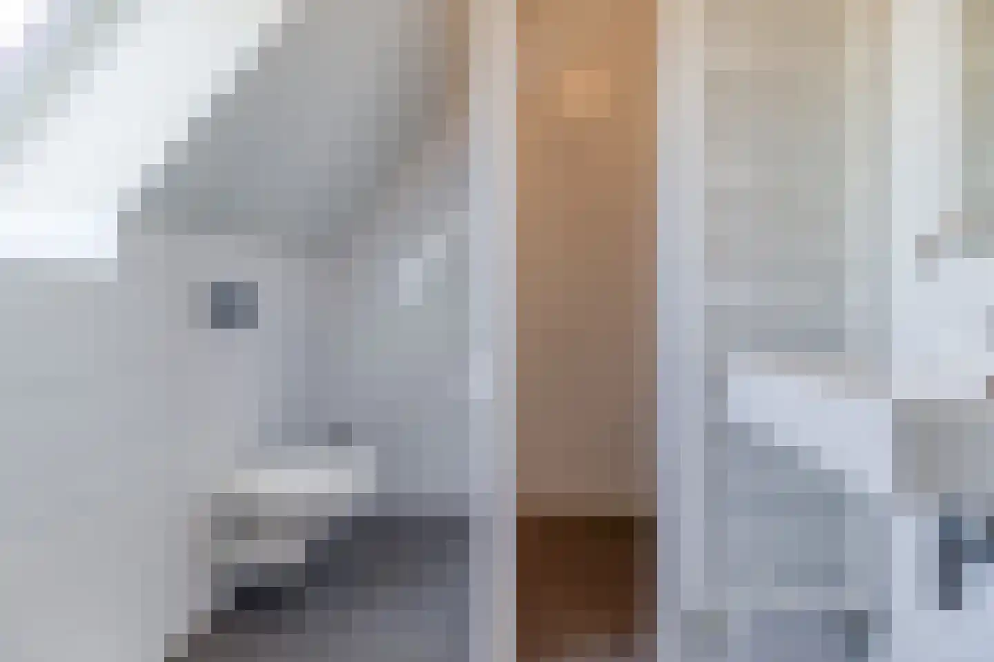 Lamsoor 12 A Nieuwvliet thumbnail 24