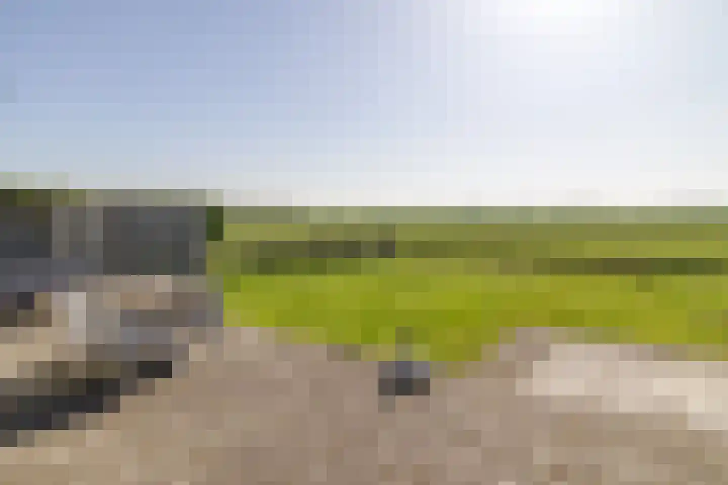 Lamsoor 12 A Nieuwvliet thumbnail 29