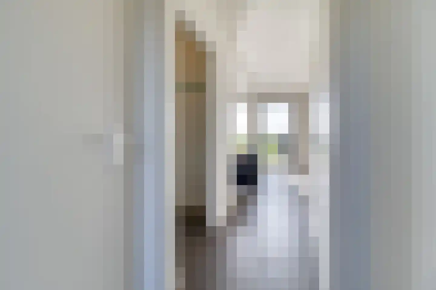 Lamsoor 14 Nieuwvliet thumbnail 10