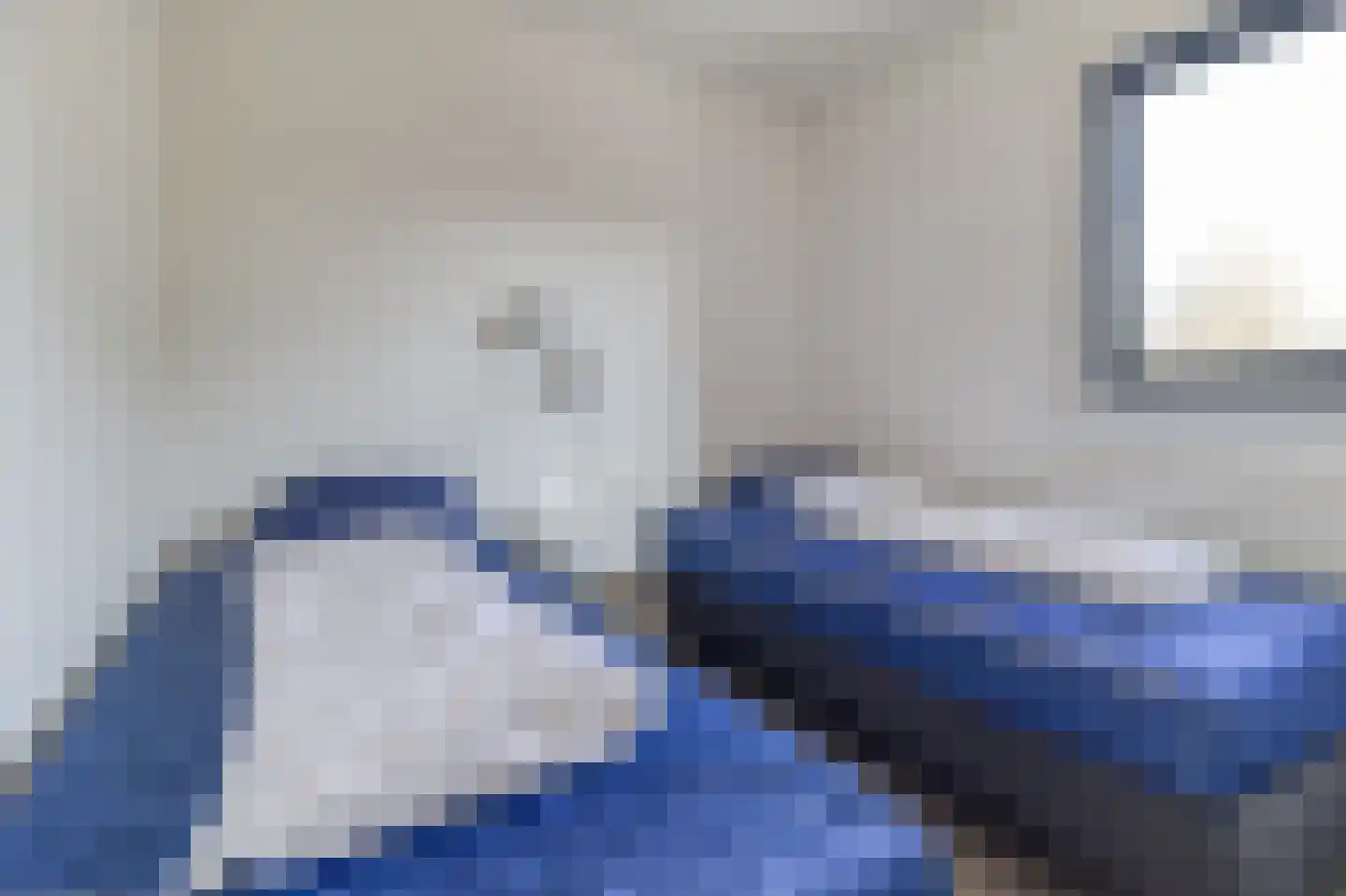 Lamsoor 14 Nieuwvliet thumbnail 14