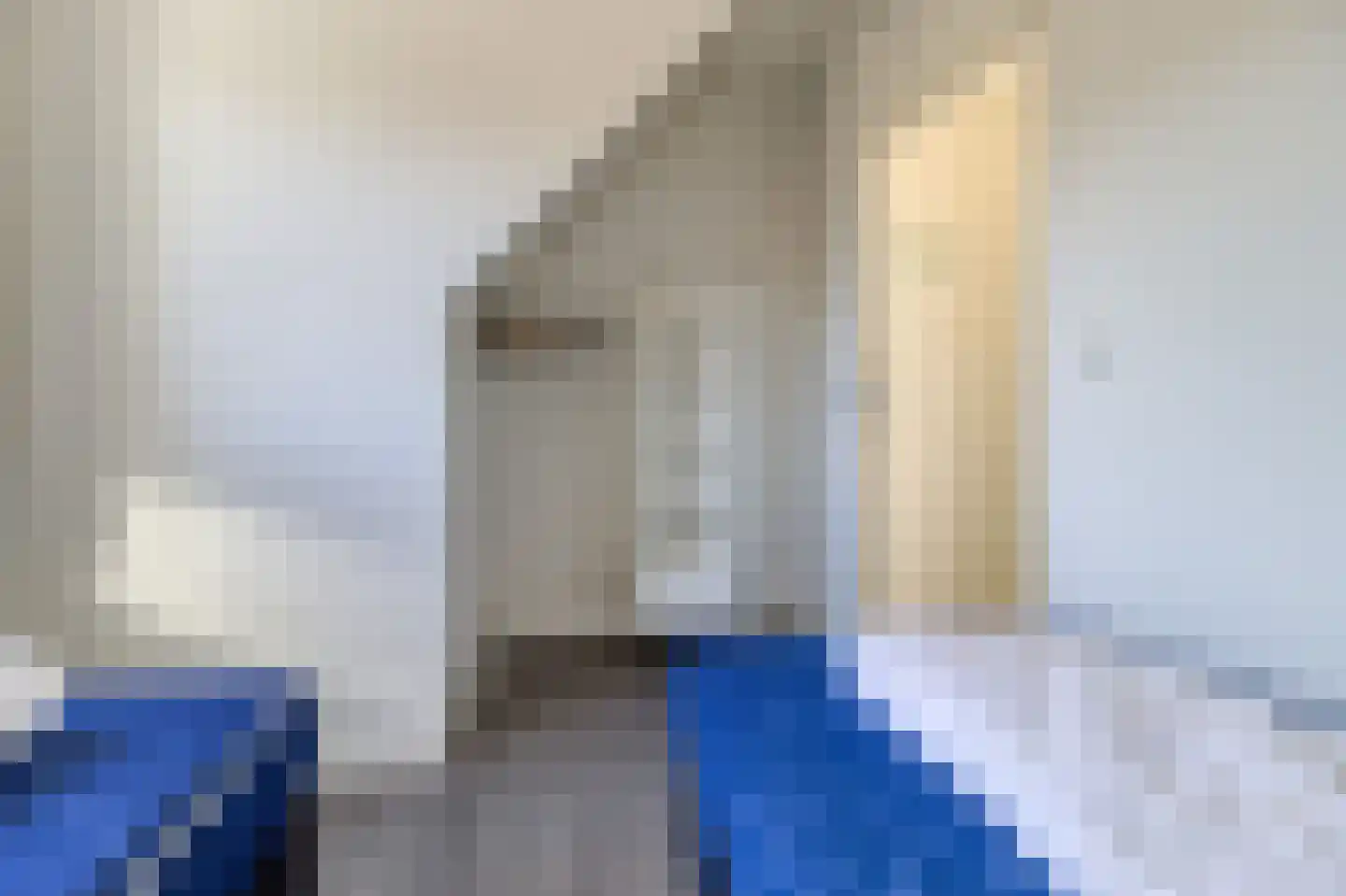 Lamsoor 14 Nieuwvliet thumbnail 15