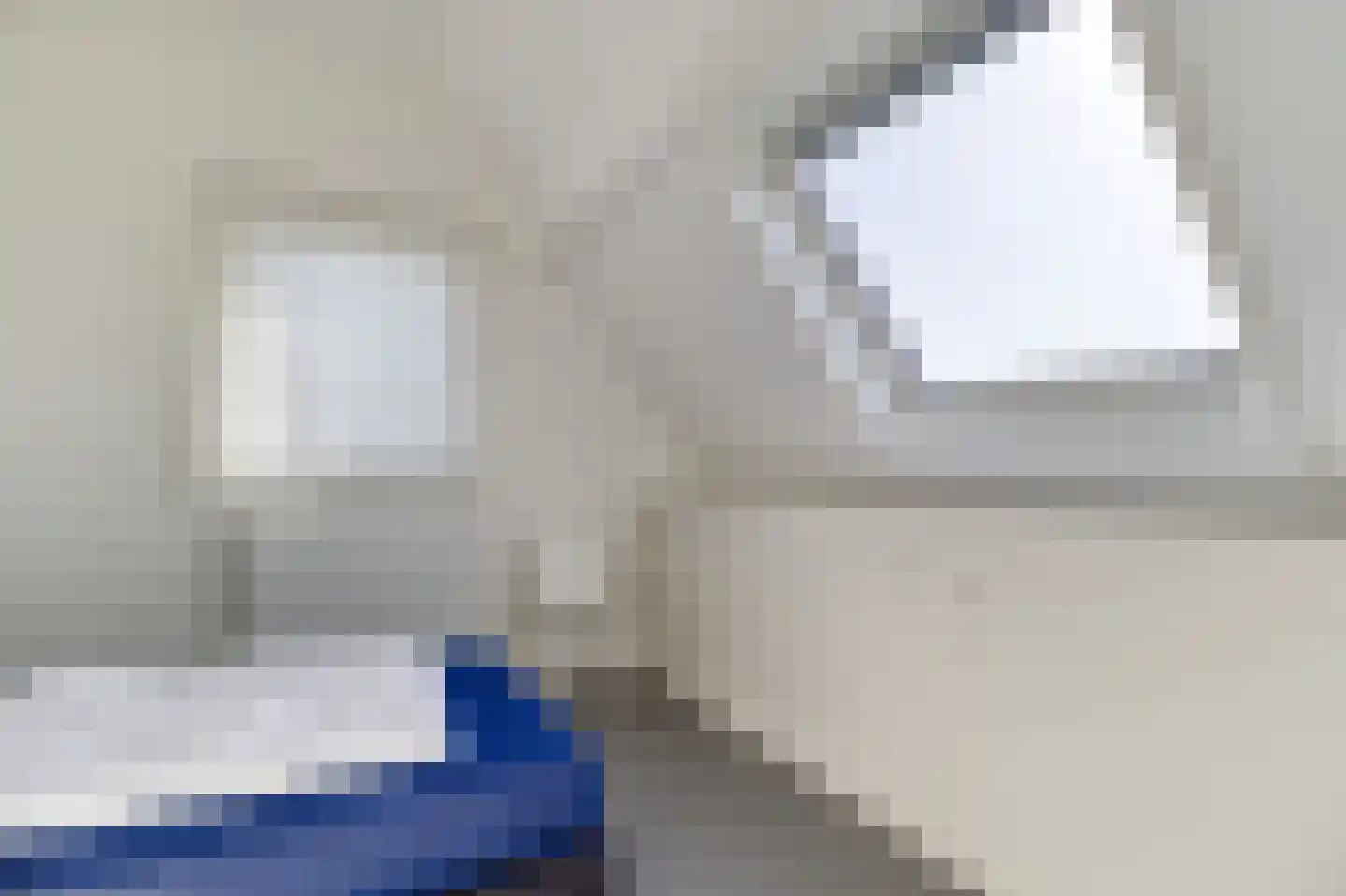 Lamsoor 14 Nieuwvliet thumbnail 18
