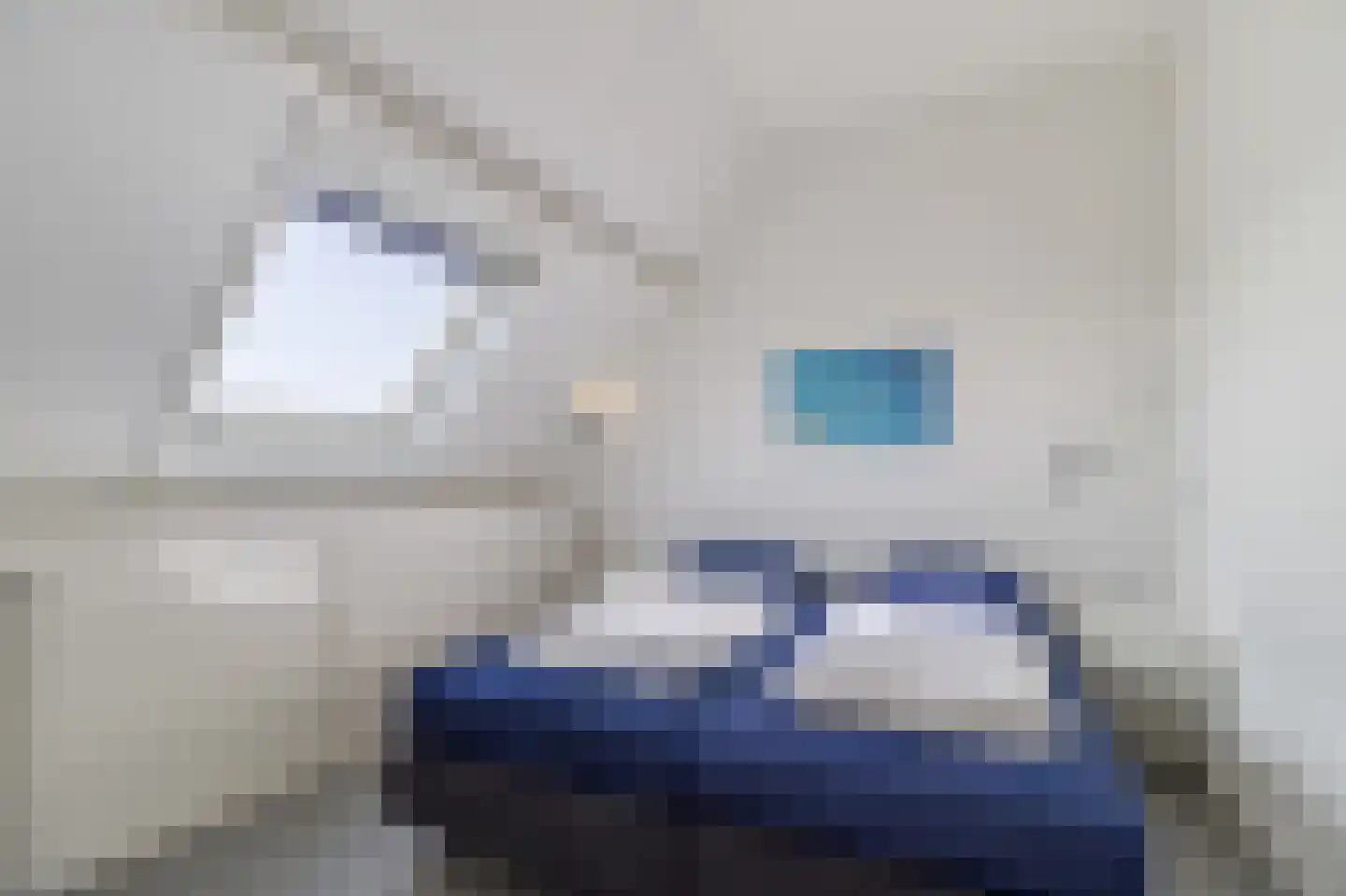 Lamsoor 14 Nieuwvliet thumbnail 20