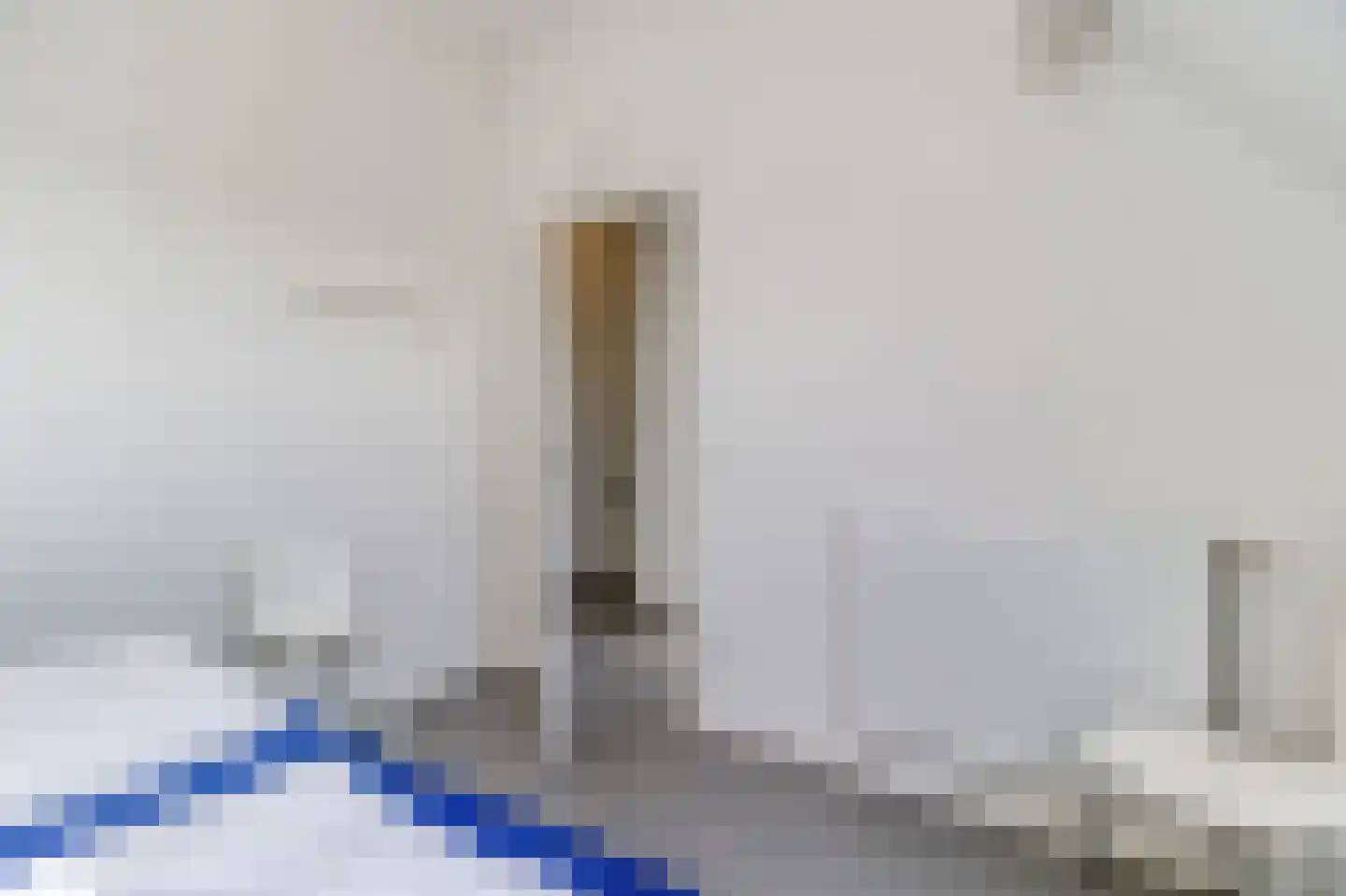 Lamsoor 14 Nieuwvliet thumbnail 21