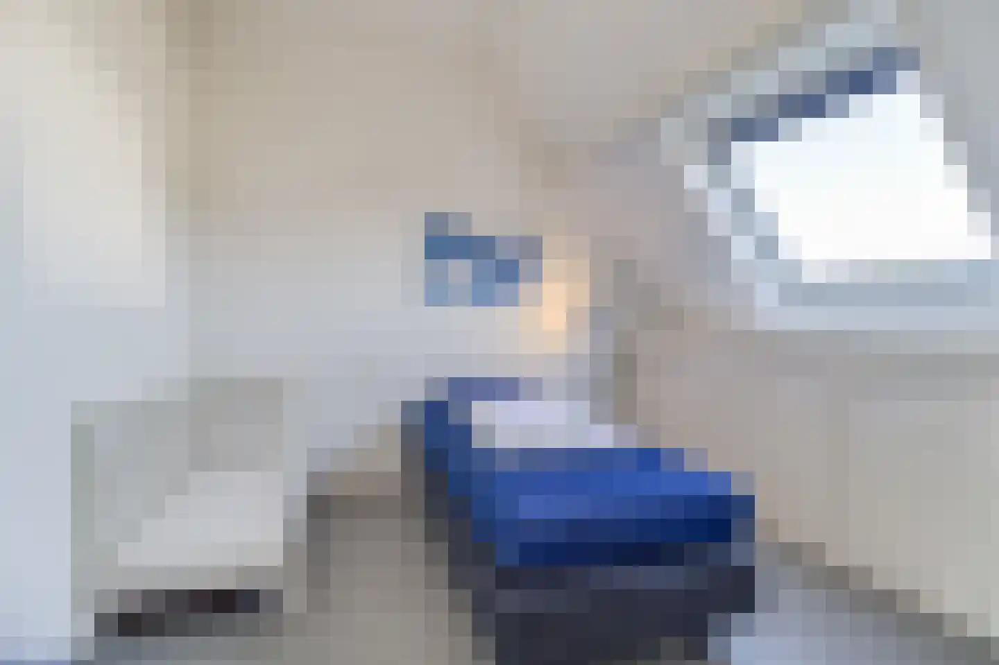 Lamsoor 14 Nieuwvliet thumbnail 22