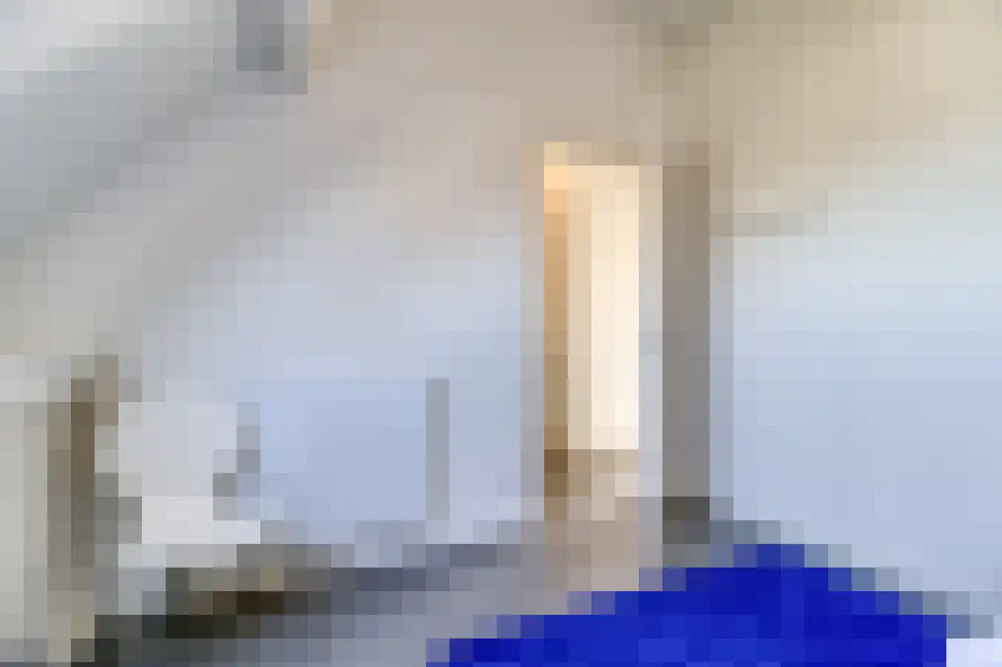 Lamsoor 14 Nieuwvliet thumbnail 23