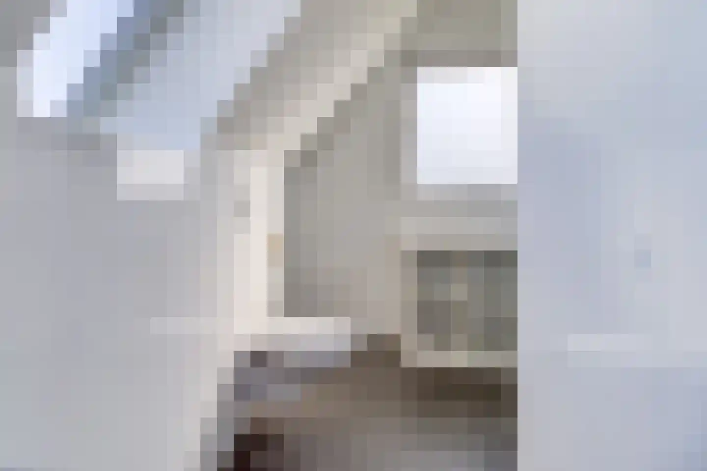 Lamsoor 14 Nieuwvliet thumbnail 25