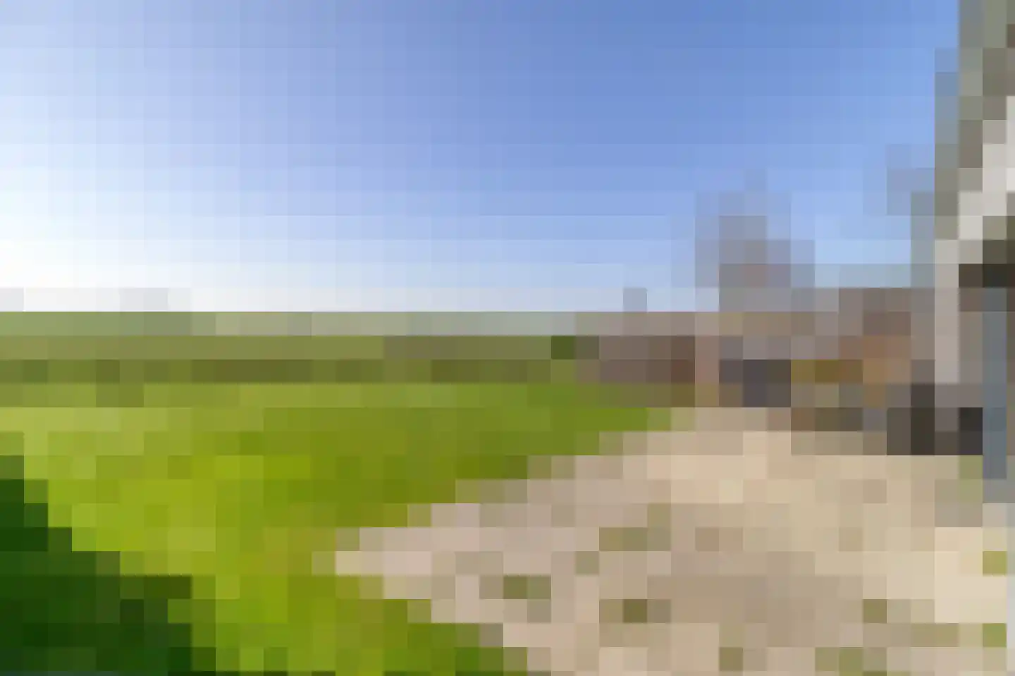 Lamsoor 14 Nieuwvliet thumbnail 29